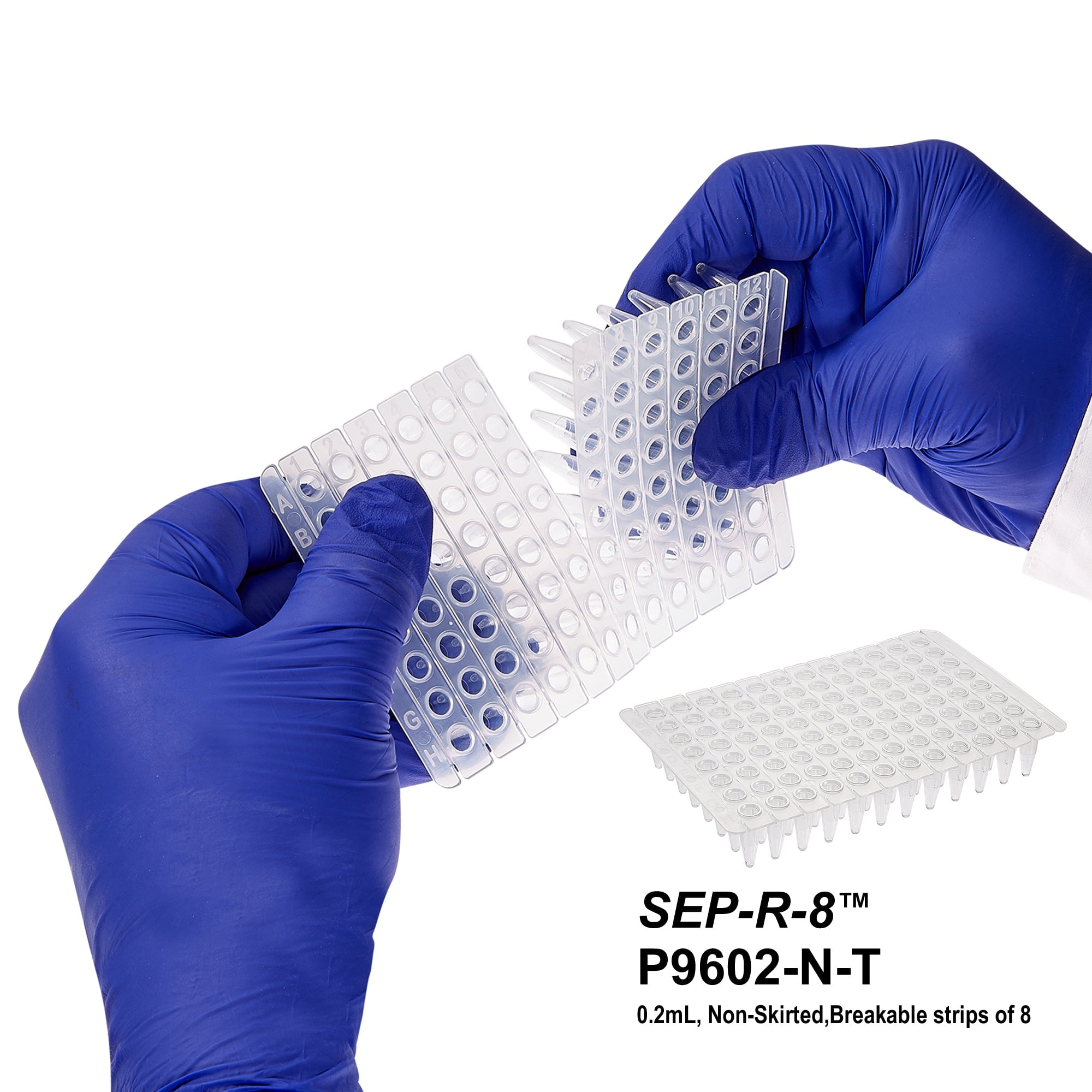 MTC Bio P9602-N-T PCR Plates, Standard 96 well x 0.2mL, non-skirted, with breakaway strips of 8, 50/pk